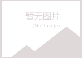 碾子山区冰夏建设有限公司